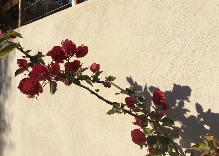 Résidence Alba Couette-café