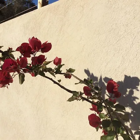 Alba Frühstückspension